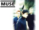 Muse